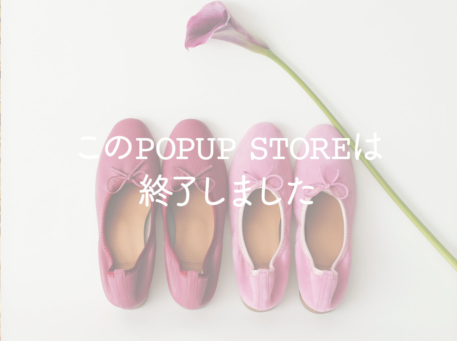 広島福屋 八丁堀本店 POPUP STORE(こちらのイベントは終了しました)