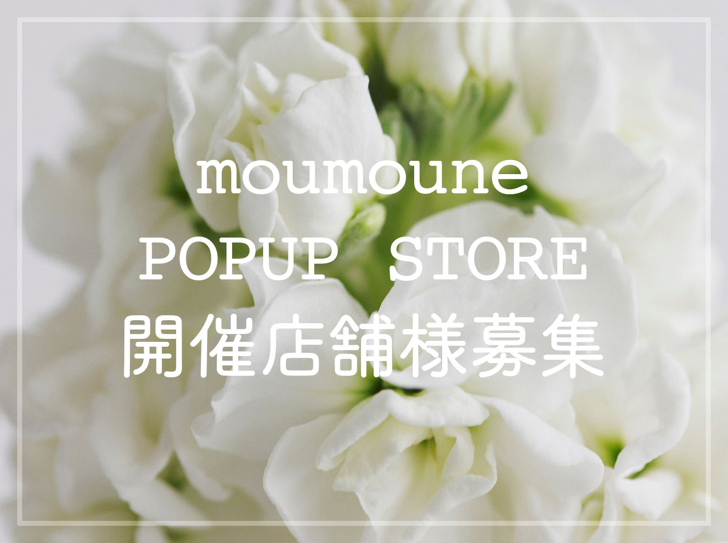 POPUP STORE 開催店舗様募集
