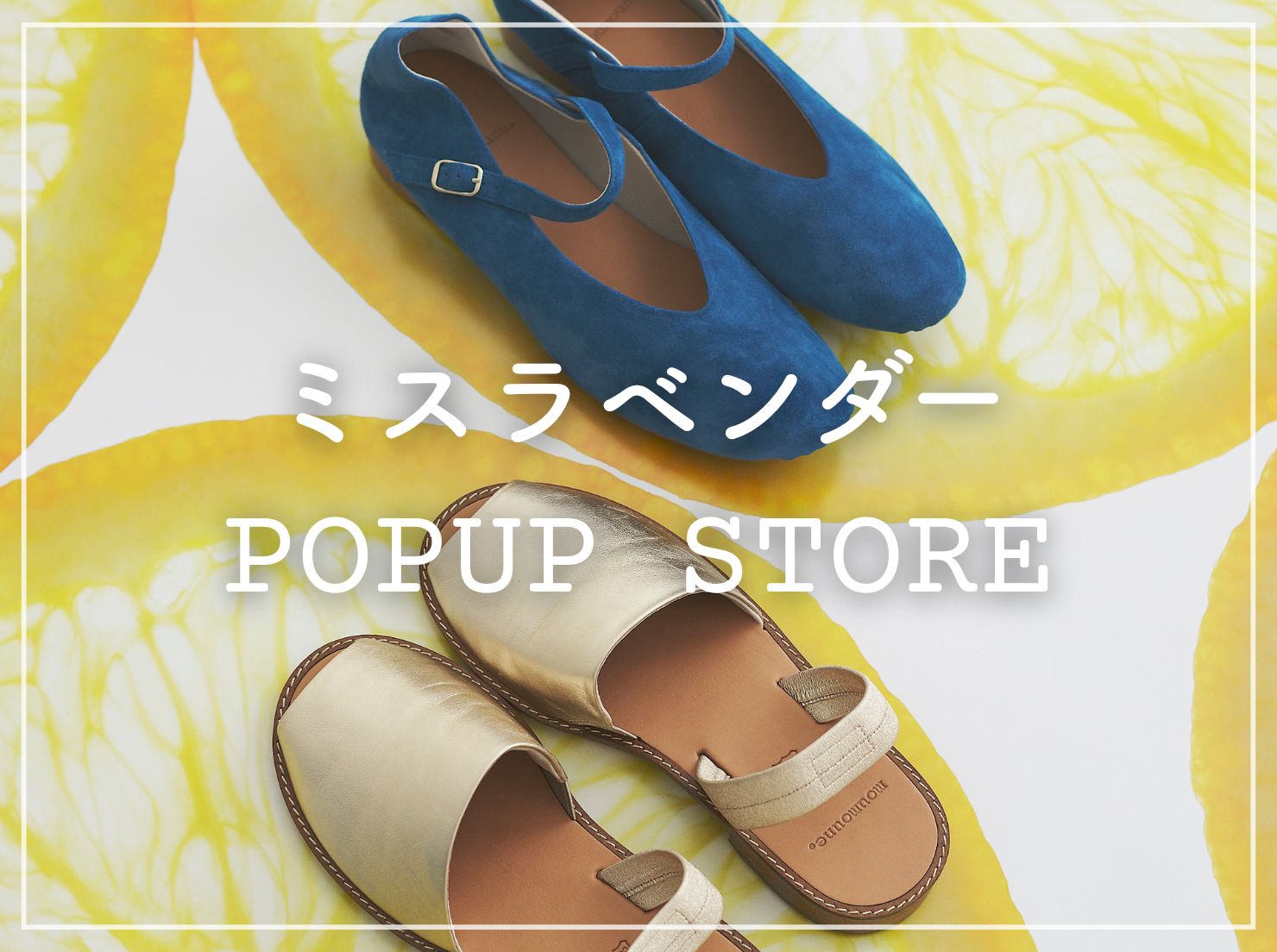 ミスラベンダー POPUP STORE(鳥取・米子)